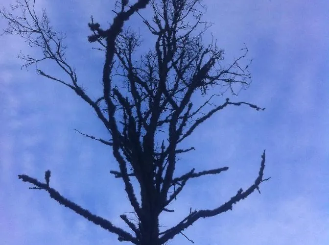 Lagoon's House Holiday home *